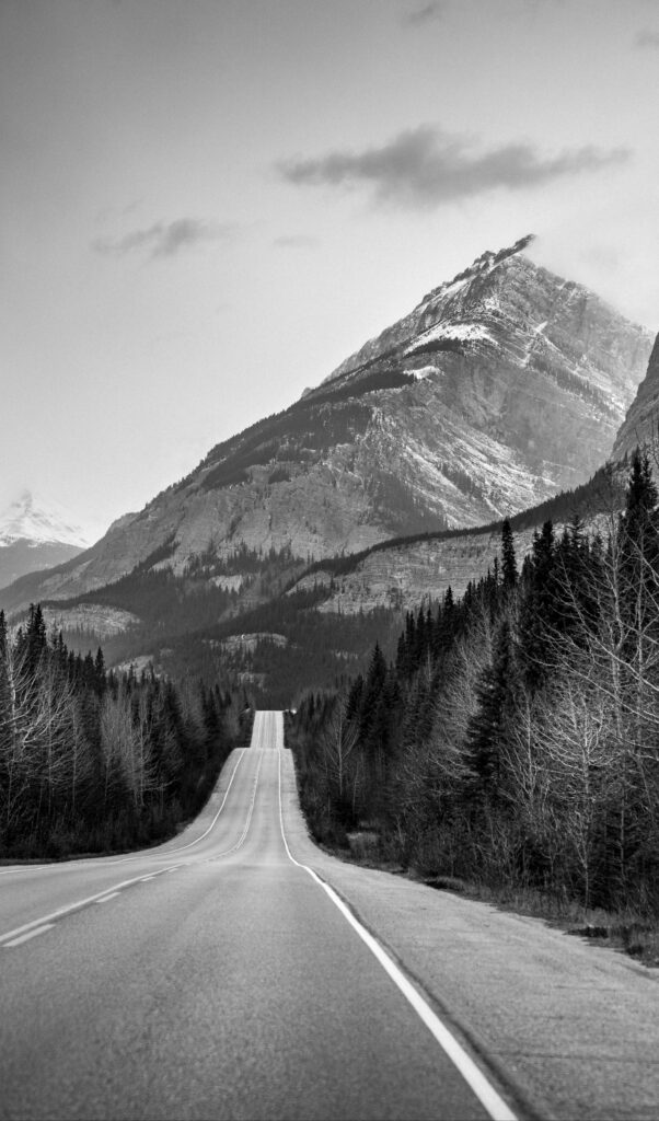 vertical-greyscale-shot-highway-center-forest-high-mountains